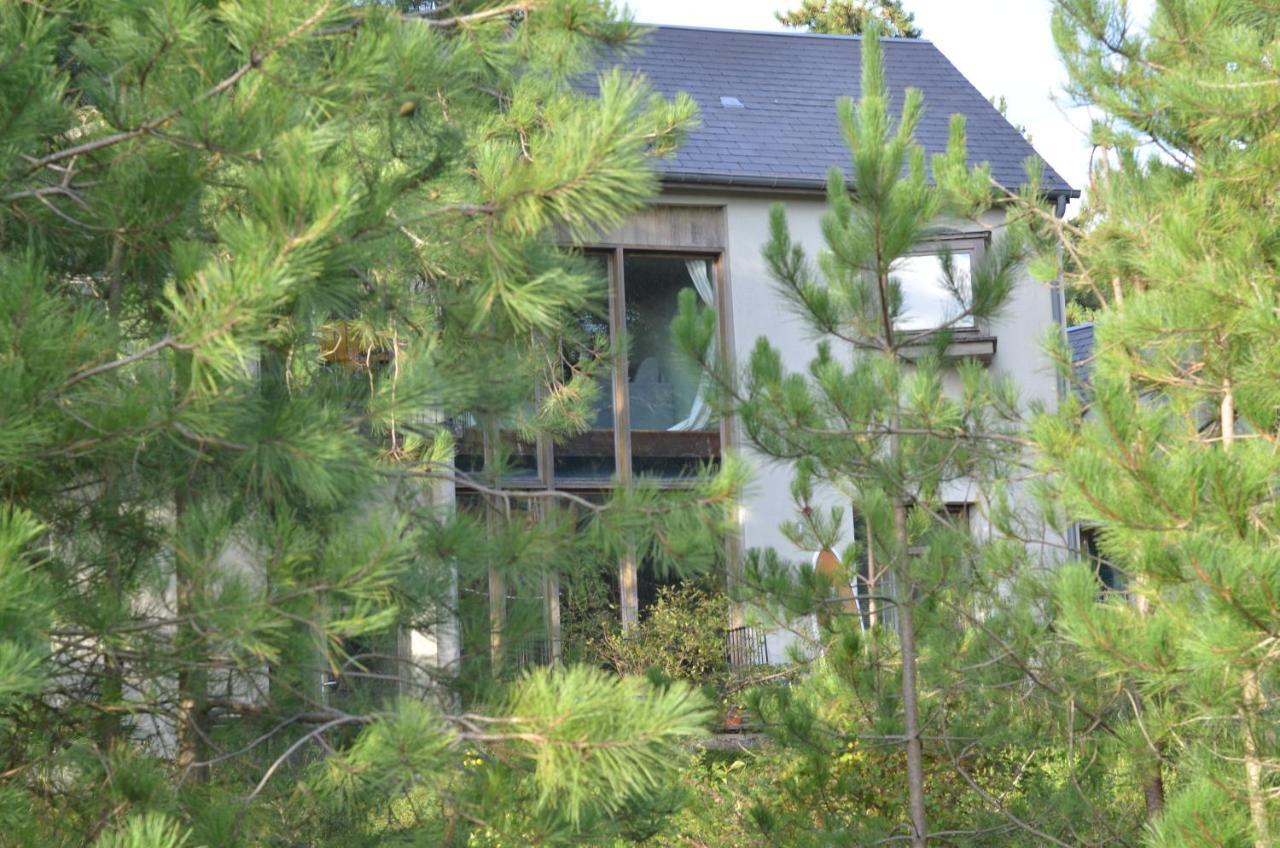 La Dans Les Pins Quend