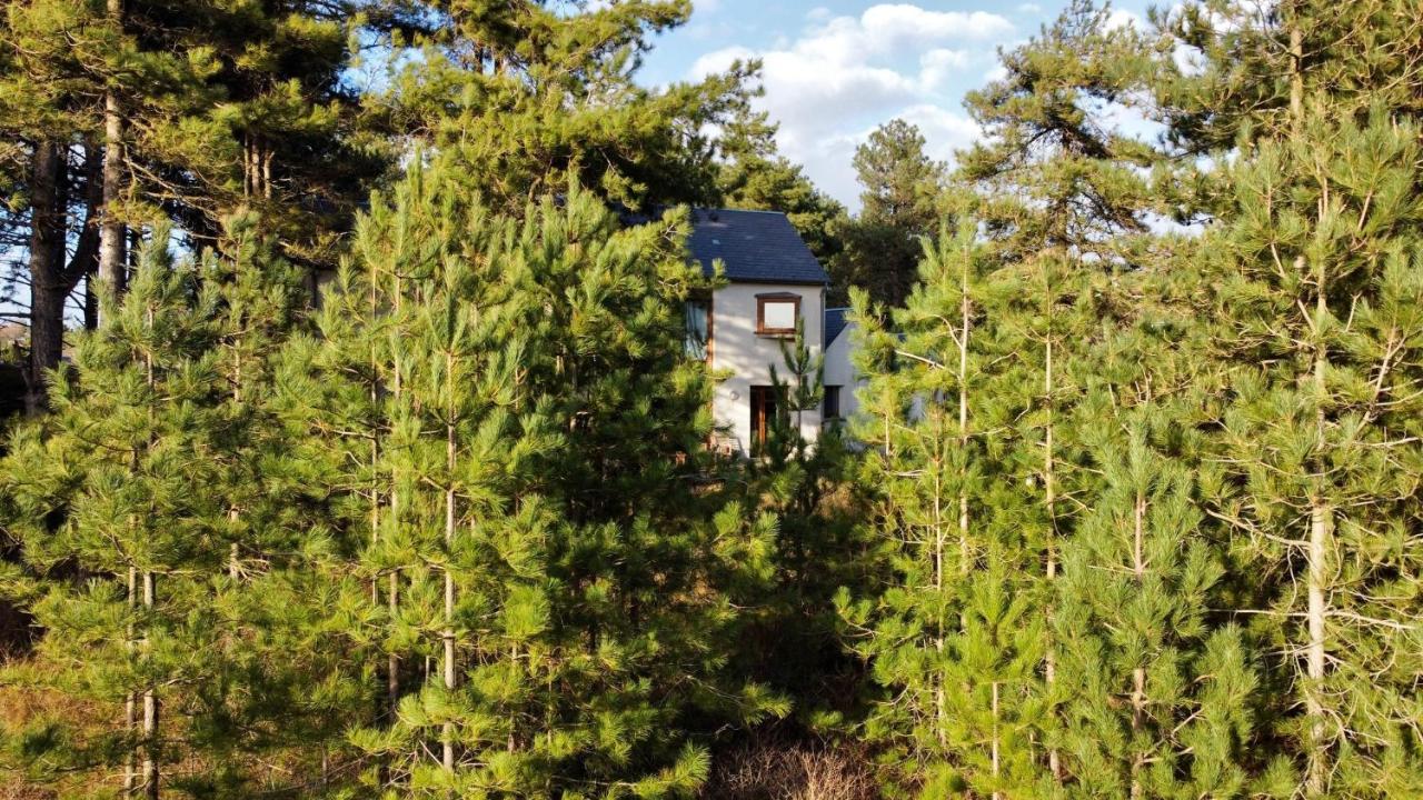 La Dans Les Pins Appartement Quend