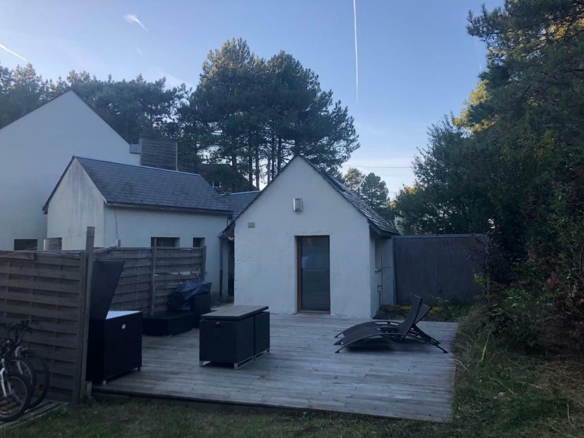 La Dans Les Pins Appartement